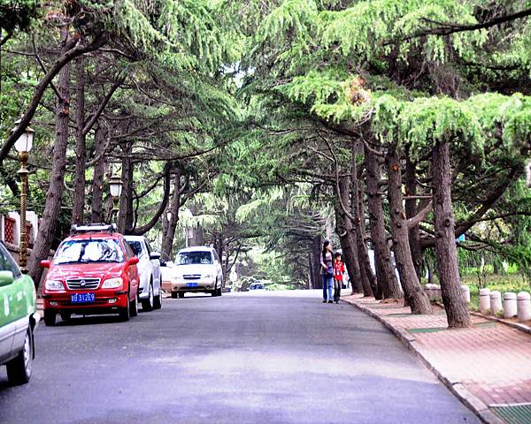 DSC_5551.jpg DSC_5551.jpg