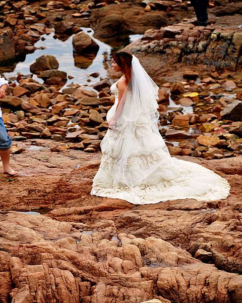 DSC_5558.jpg DSC_5558.jpg