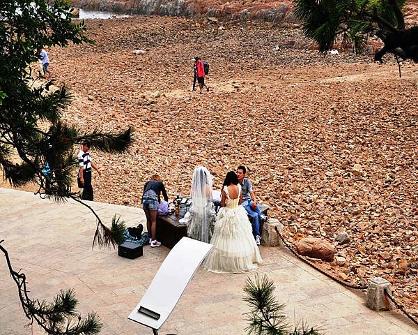 DSC_5559.jpg DSC_5559.jpg