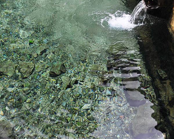 DSC_5804.jpg DSC_5804.jpg