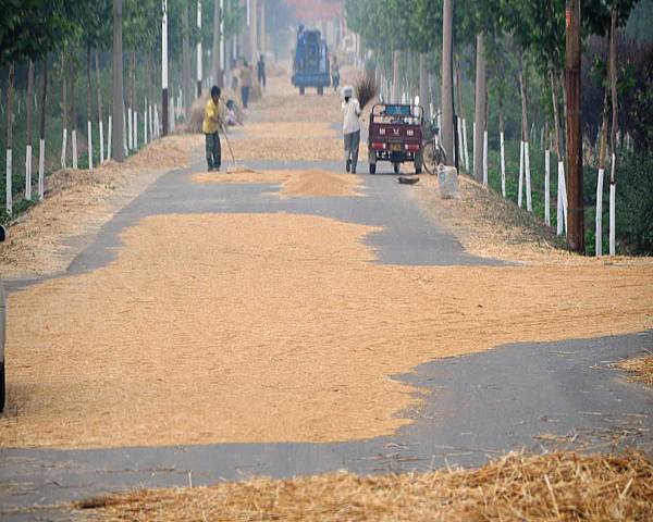 DSC_4898.jpg DSC_4898.jpg