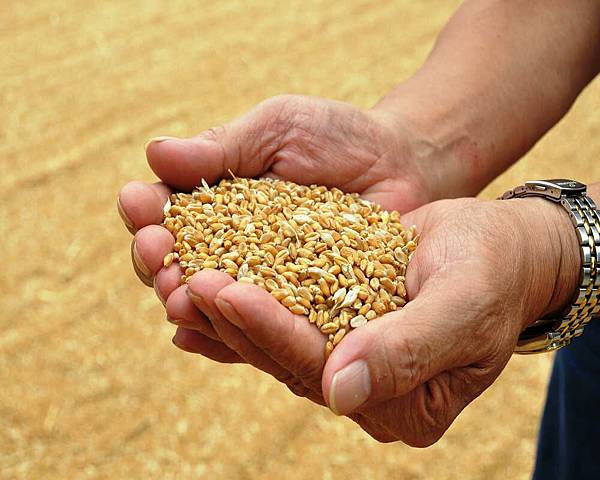 DSC_4900.jpg DSC_4900.jpg