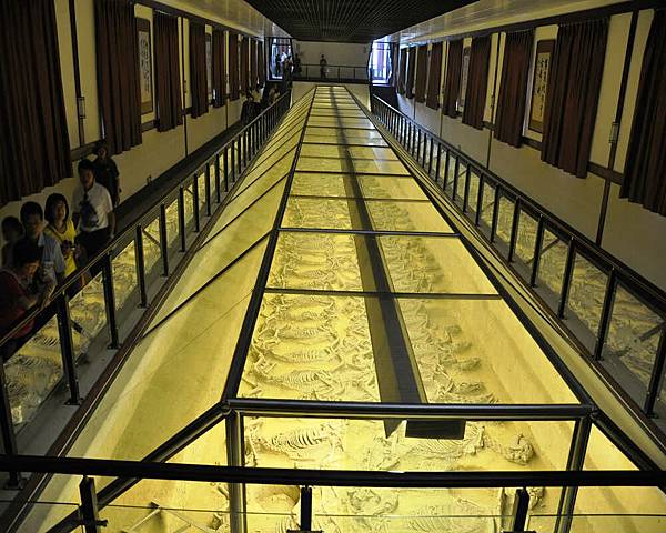 DSC_4907.jpg DSC_4907.jpg