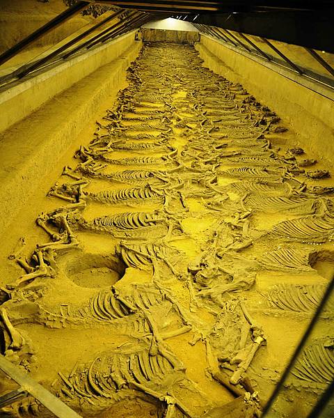 DSC_4909.jpg DSC_4909.jpg