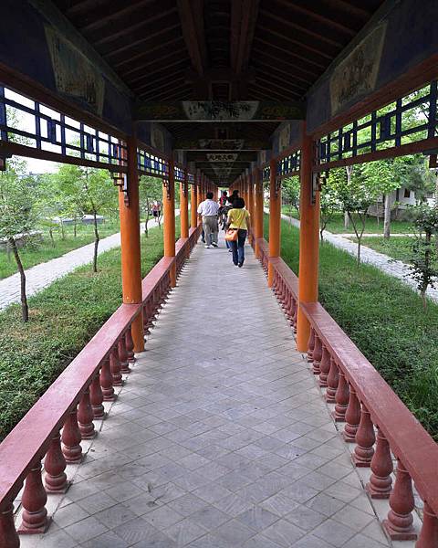 DSC_4944(001).jpg DSC_4944(001).jpg