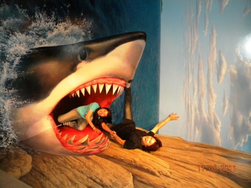 DSCN5527.JPG DSCN5527.JPG