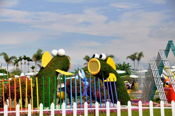 DSC_5976.JPG DSC_5976.JPG