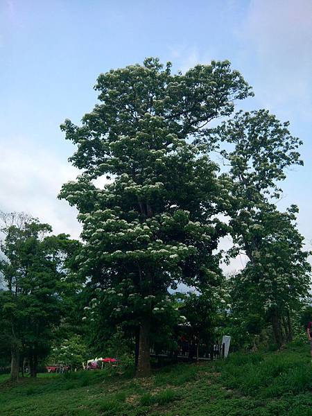 IMG_20120415_145355 IMG_20120415_145355