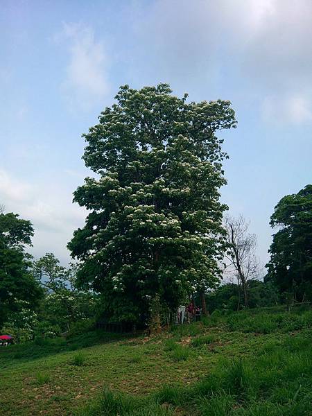 IMG_20120415_145336 IMG_20120415_145336