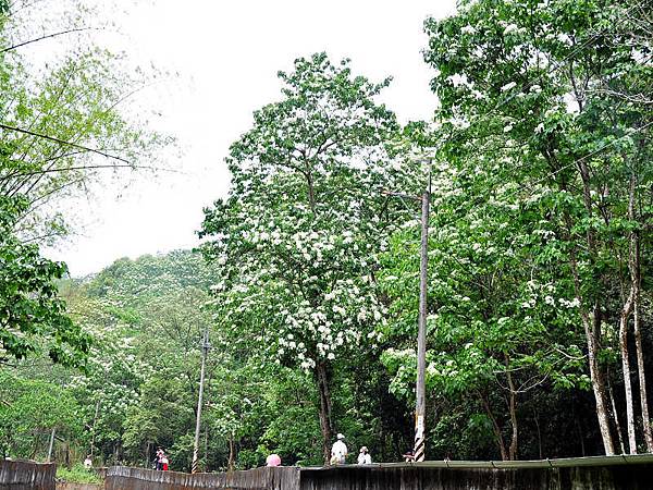 DSC_4481.jpg DSC_4481.jpg