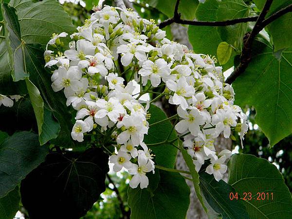 DSCN4309.jpg DSCN4309.jpg