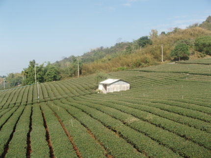 P1010132.jpg P1010132.jpg