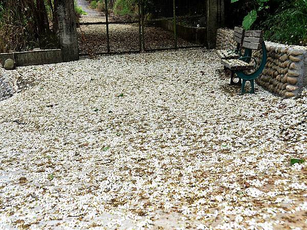 DSC_4479.jpg DSC_4479.jpg