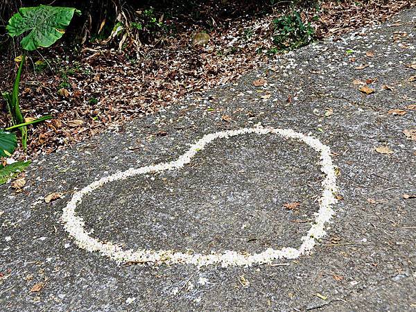 DSC_4523.jpg DSC_4523.jpg