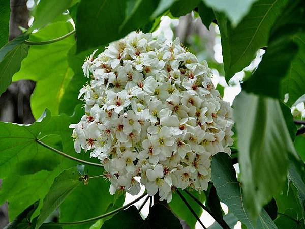 DSC_4536.jpg DSC_4536.jpg