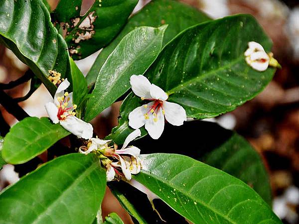 DSC_4462.jpg DSC_4462.jpg