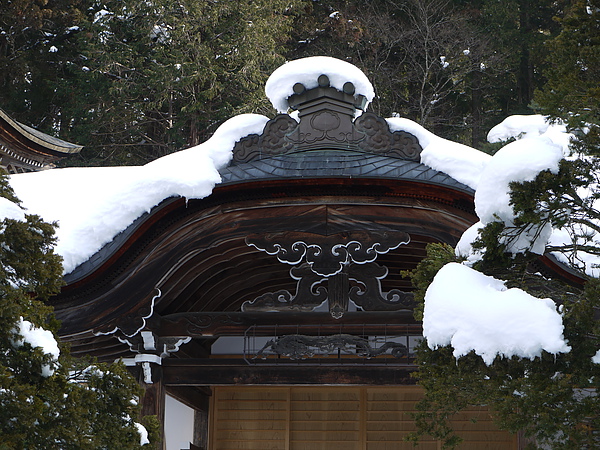 P1080983.JPG P1080983.JPG