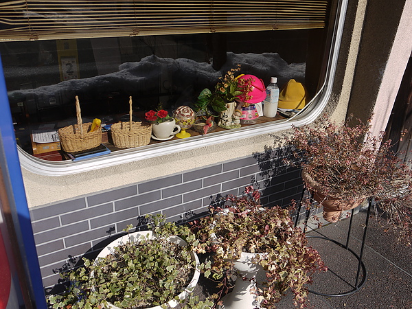 P1080997.JPG P1080997.JPG