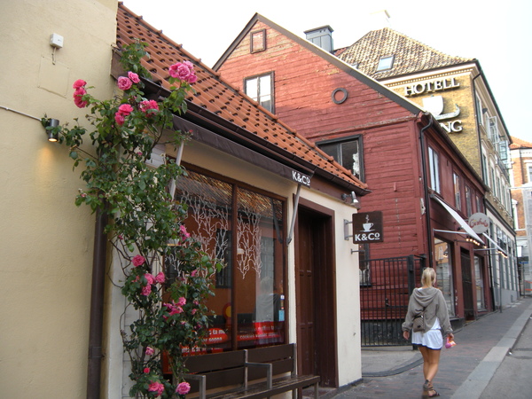 DSCN8344.JPG DSCN8344.JPG