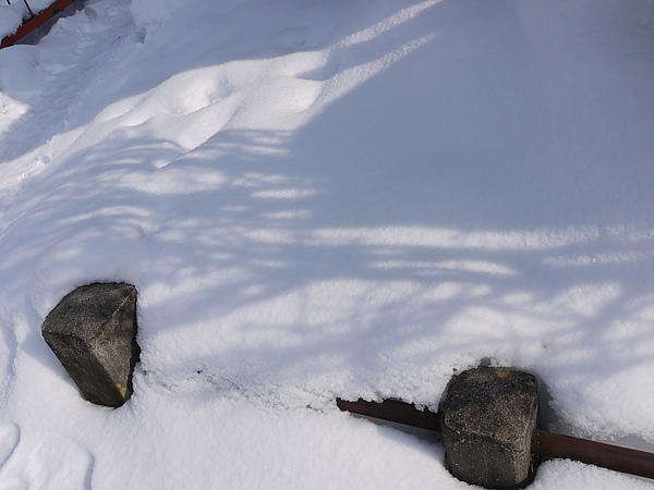 P1080987.JPG P1080987.JPG