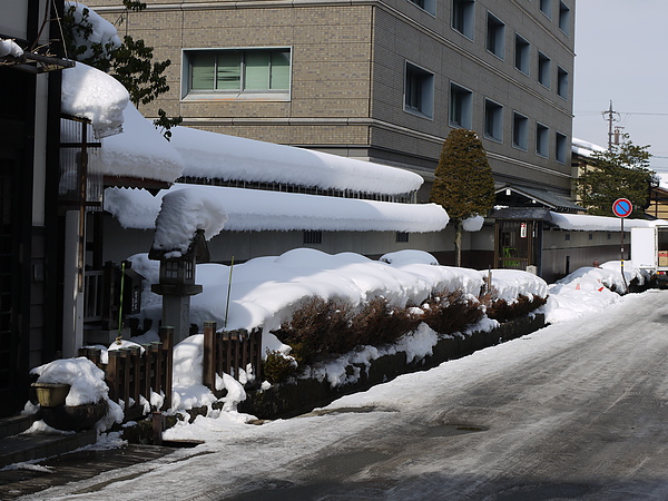 P1080998.JPG P1080998.JPG