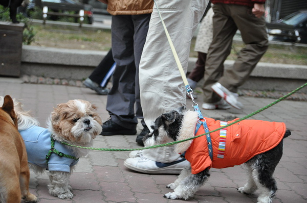 DSC_0192_縮小大小.jpg DSC_0192_縮小大小.jpg