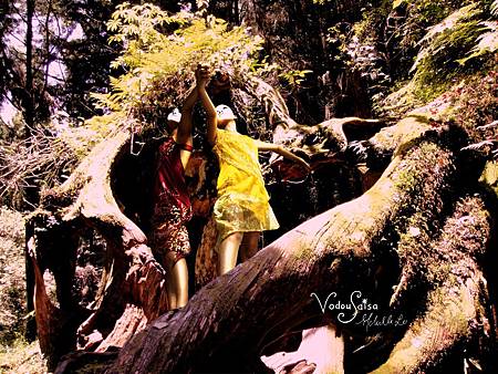 雙胞胎 Marassa 雙胞胎 Marassa