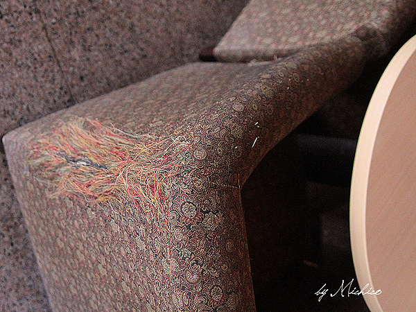 IMG_4401s.jpg