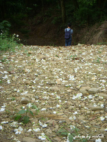 福田社區-10 福田社區-10