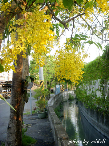 大村-4 大村-4