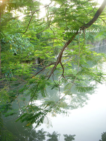 大村-16 大村-16
