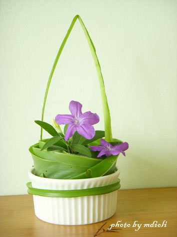 連蕉-2 連蕉-2