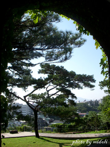 松園別館5 松園別館5