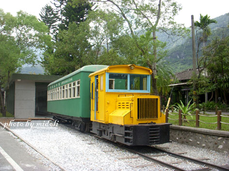 林田山-9 林田山-9