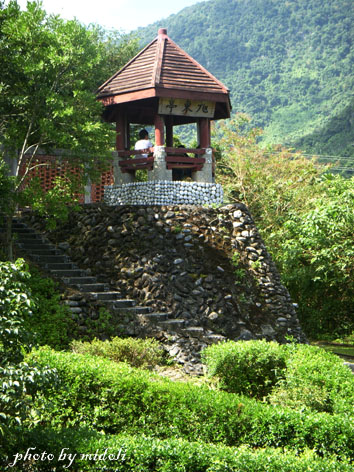林田山-16 林田山-16