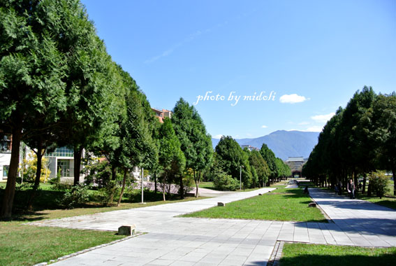 暨南大學-2 暨南大學-2