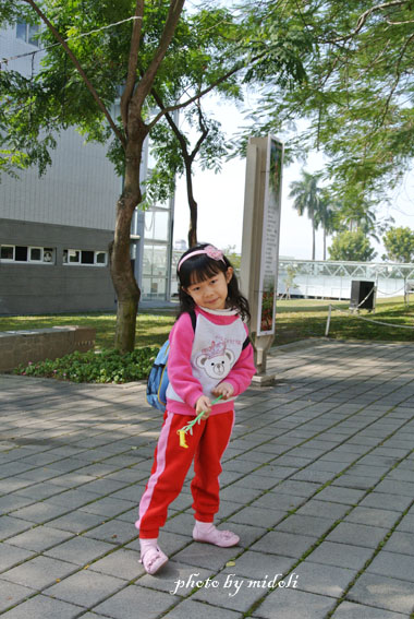春-51 春-51