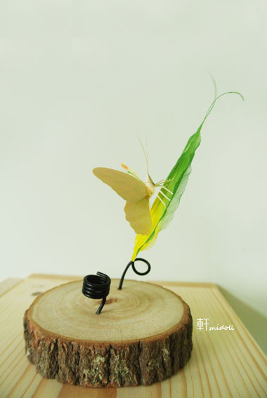 菩提-4.jpg 菩提-4.jpg
