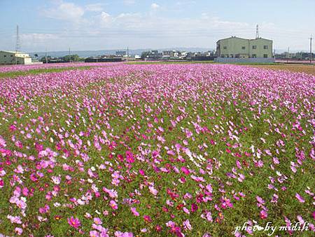 波斯-8.jpg