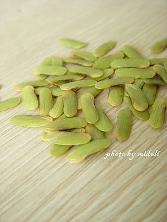 抹草-1.jpg 抹草-1.jpg