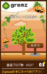 1256548941_00153.jpg