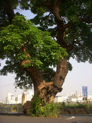 村-12.jpg 村-12.jpg