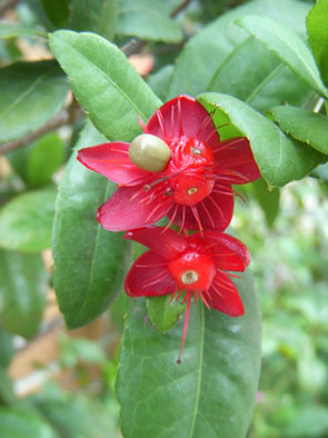 村-10.jpg 村-10.jpg