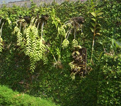 村-6.jpg 村-6.jpg