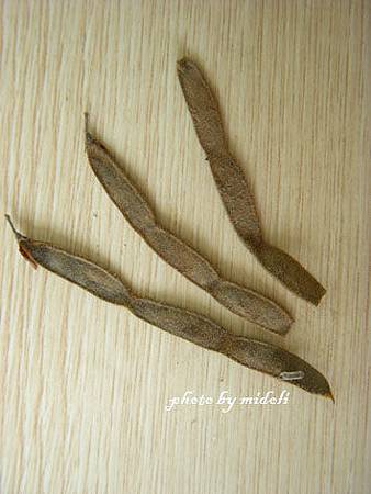 抹草-3.jpg 抹草-3.jpg