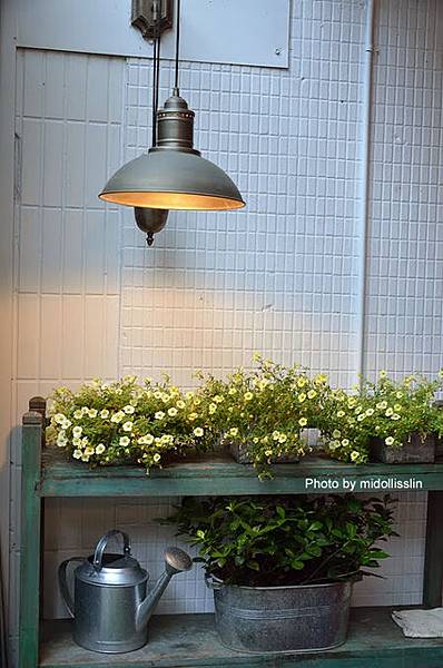 DSC_3862.JPG DSC_3862.JPG