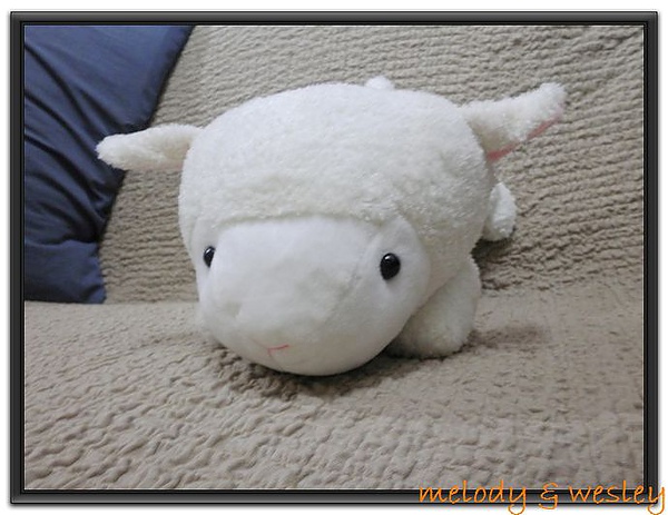 P3010045.JPG P3010045.JPG