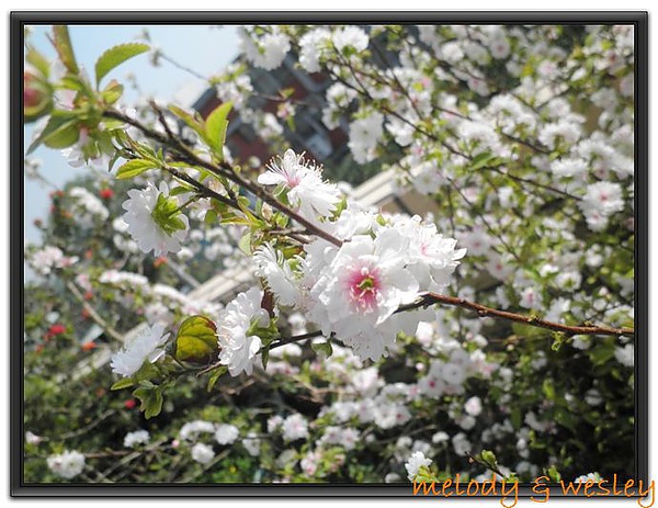 P2280036.JPG P2280036.JPG