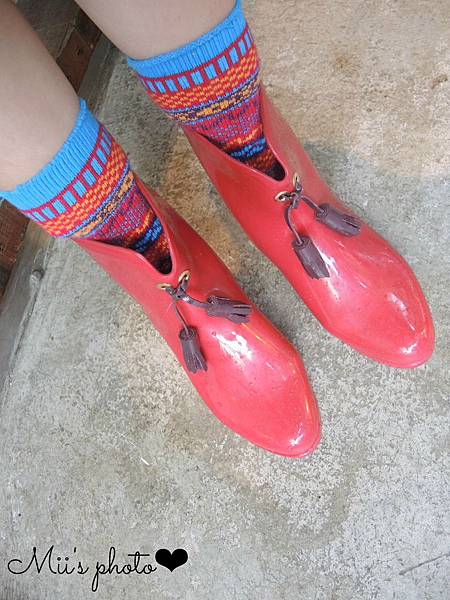 DSCN9096.jpg DSCN9096.jpg