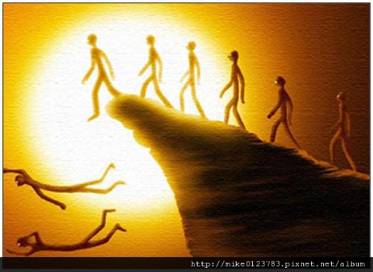 羊群效应 羊群效应